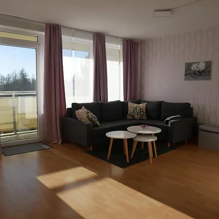 Hohegeiss-Braunlage-Apartment 374 Exterior foto