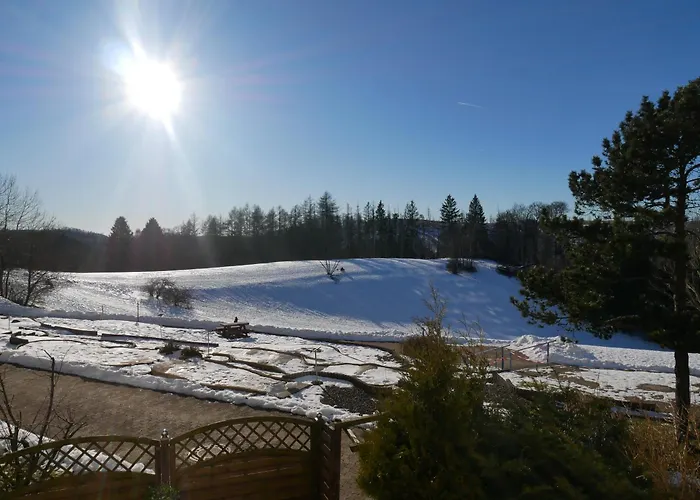 Hohegeiss-Braunlage-Apartment 374