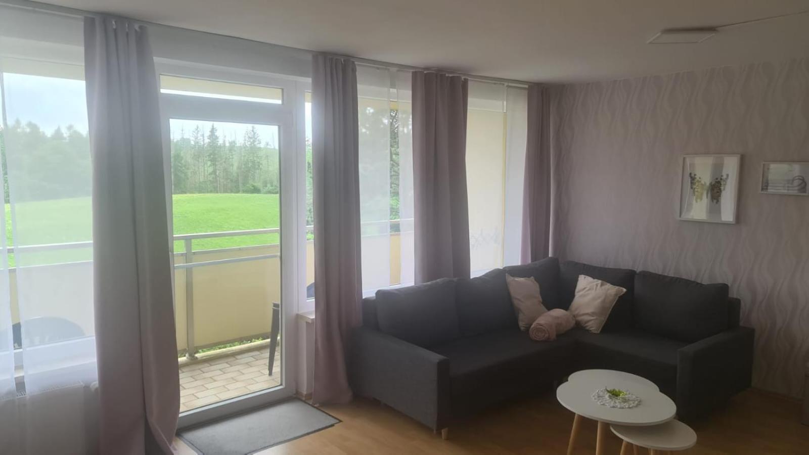 Hohegeiss-braunlage-apartment 374 *