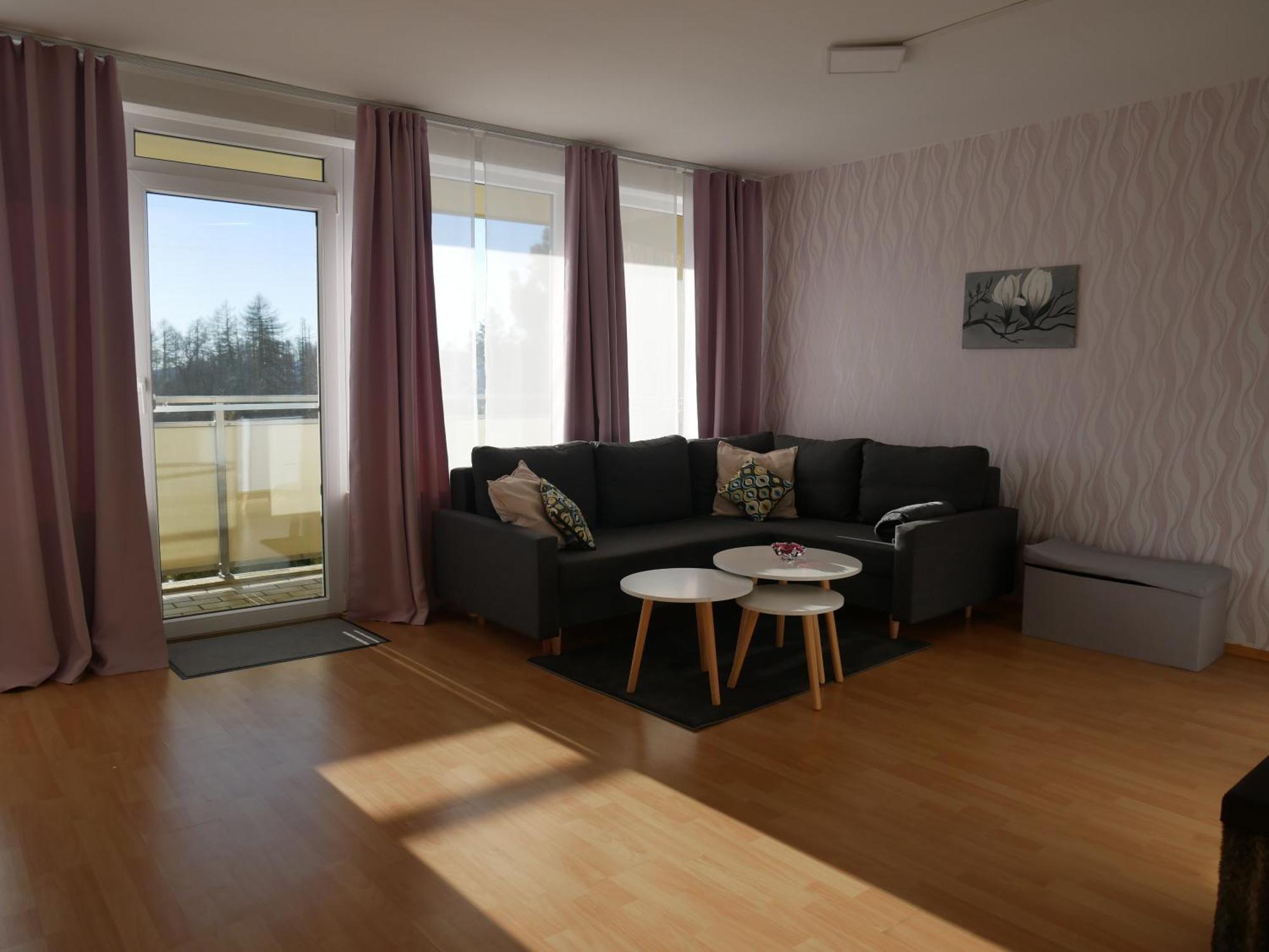 Hohegeiss-braunlage-apartment 374 Apartment